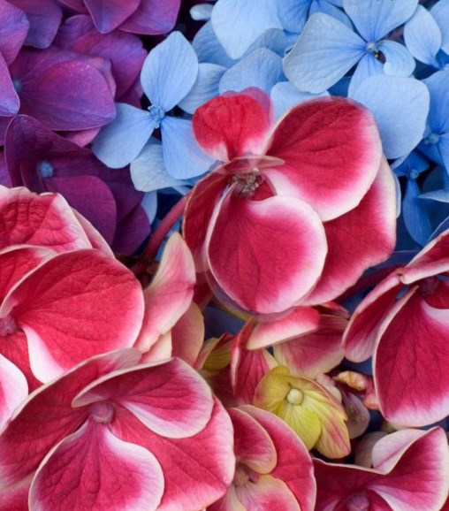 Nancy GARNONS-WILLIAMS Obituary - Parksville, BC