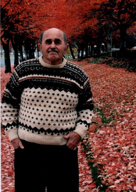 Obituary of Dale Leonard Maser