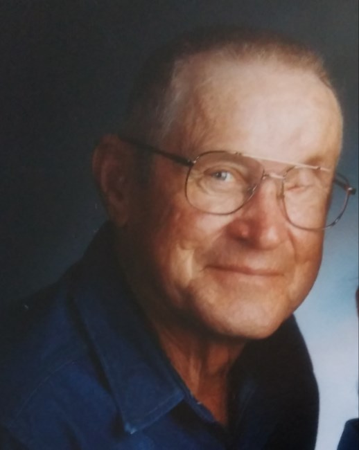 Obituary of Donald Gus Romey