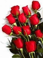 Obituary of Yvonne Jina Scott