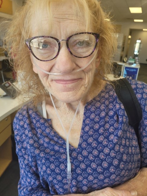 Obituary of Terri Lynn Werner