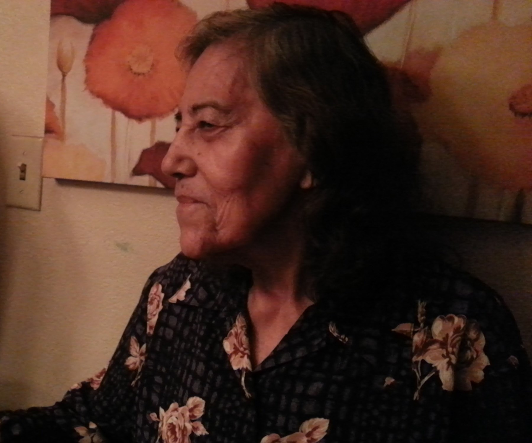 Obituary of Sofia Castillo Juarez