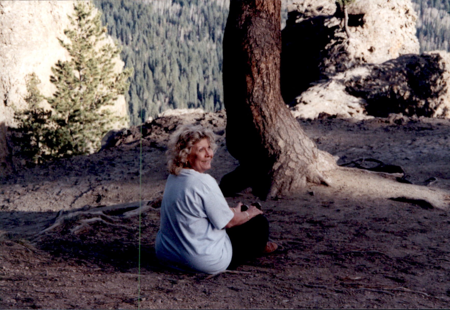 Obituary of Shirley Ann James