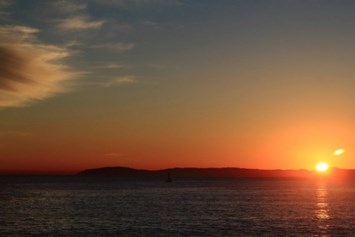 Obituary of Vera W. Windell Williams