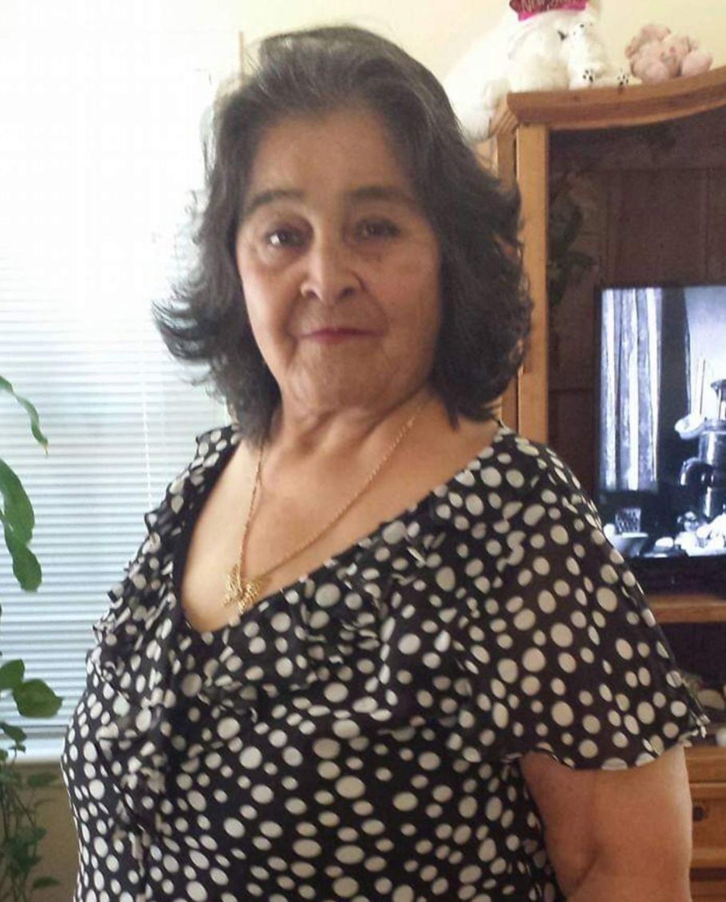 Eleanor Lopez Obituary - Waco, TX