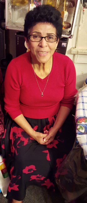Obituary of Herlinda Mejia