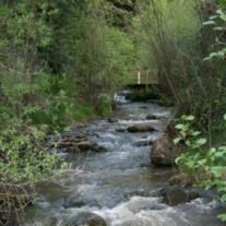 Obituary of Jack M. Ross