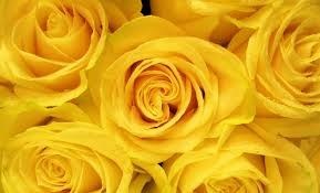Obituary of Maria R Alvarez
