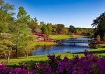 Obituary of Delores Williamscameron