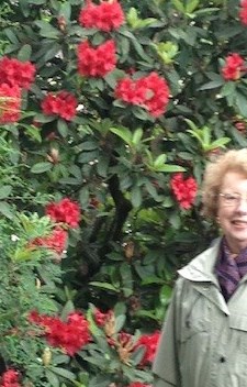 Ann Penney Frye Bason Obituary Raleigh NC Ann Penney Frye Bason Obituary Raleigh NC