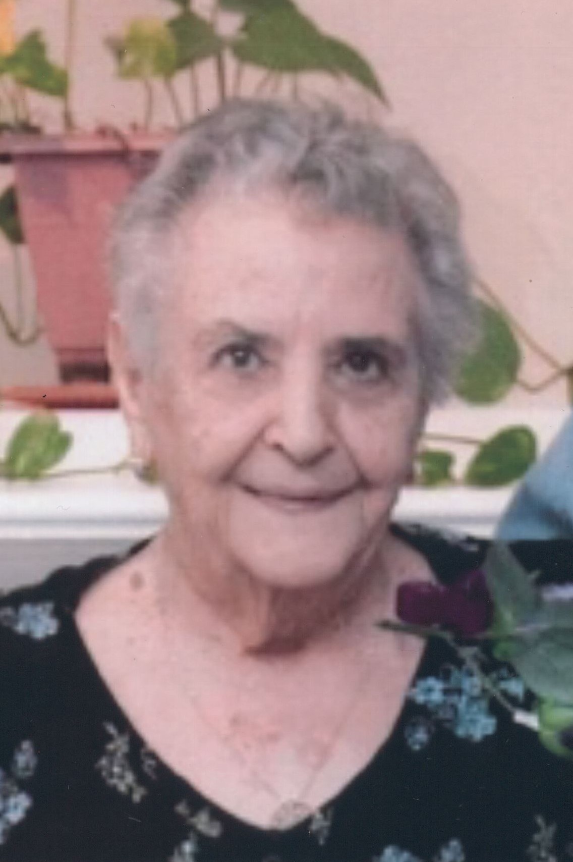Frances Alford Obituary Birmingham, AL