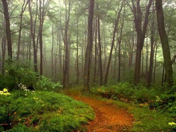 Obituary of Robert Alan Everingham