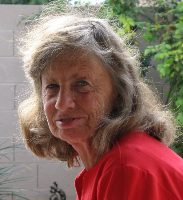 Obituary of Sondra "Sandy" L. Steinhilber