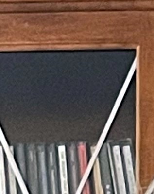 Susan Elson Obituary - Gurnee, IL