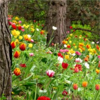 Obituary of Ralph "Jim" Kramer