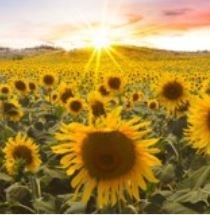 Obituario de Michael Trent Boothe