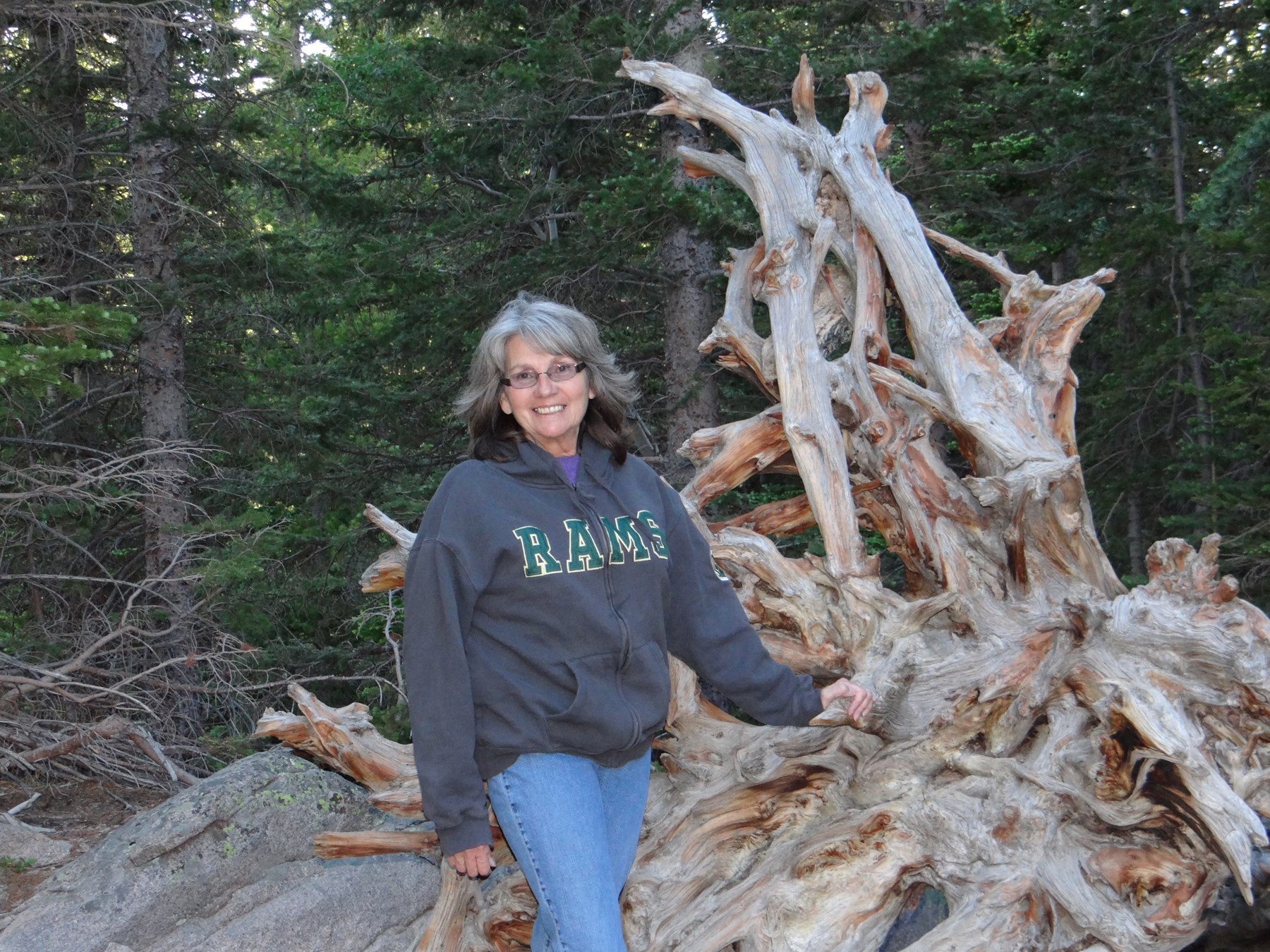 Obituary of Sheryl J. Williams