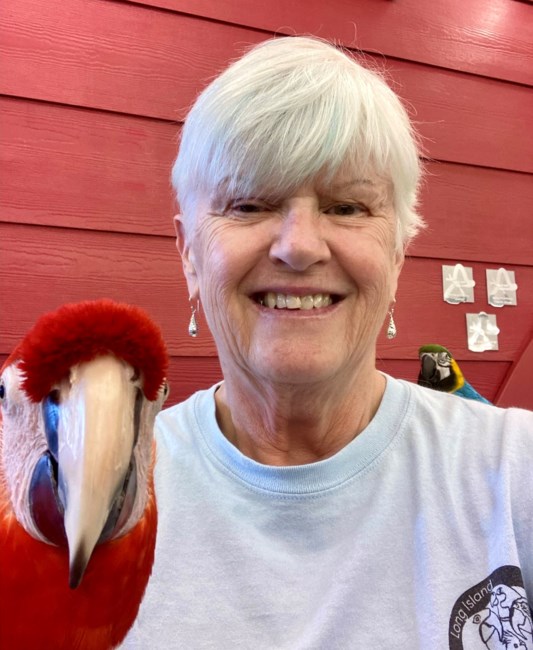 Obituary of Diane P. Hyde