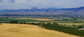 Obituary of Esther Jane Patterson