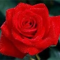 Obituary of Onda Lee Elder