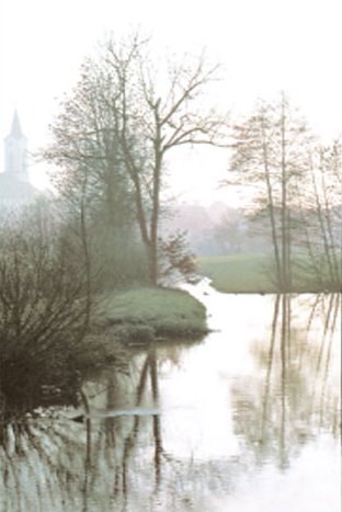 Obituary of Craig Douglas Morningstar