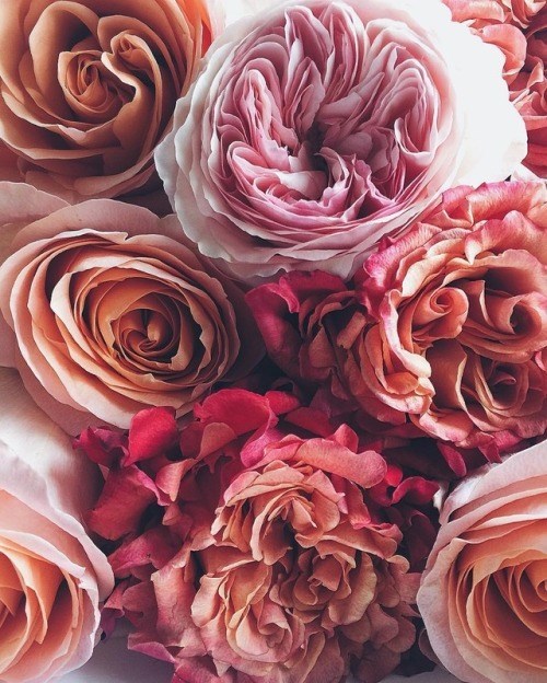 Obituary of Marjorie R. Hall