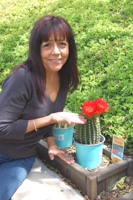 Obituary of Esther Padrón Somers