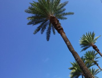 Obituary of Lin Tung Chun