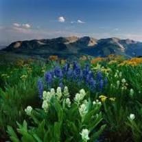 Obituary of Maurice ""Moe Kenneth Jewell