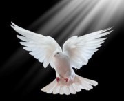 Obituary of Hilda Gonzalez