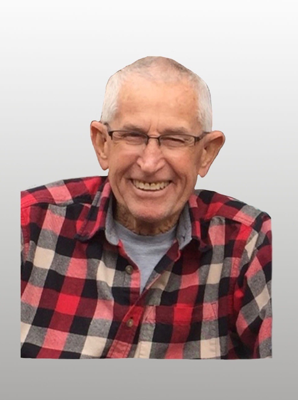 Obituary of Harlo McLain Thorley