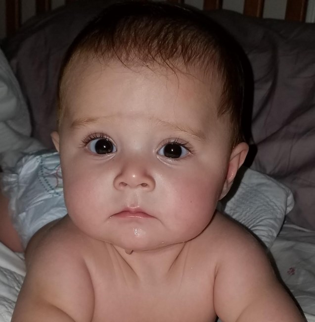 Obituario de Noah Iribarren Monroy