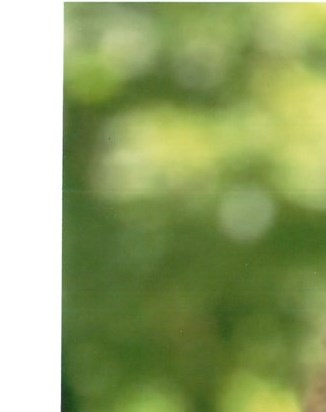 Barbara Ruth Thompson Obituary - Cambridge, ON
