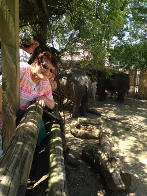 Obituary of Sharyn Shea Randall