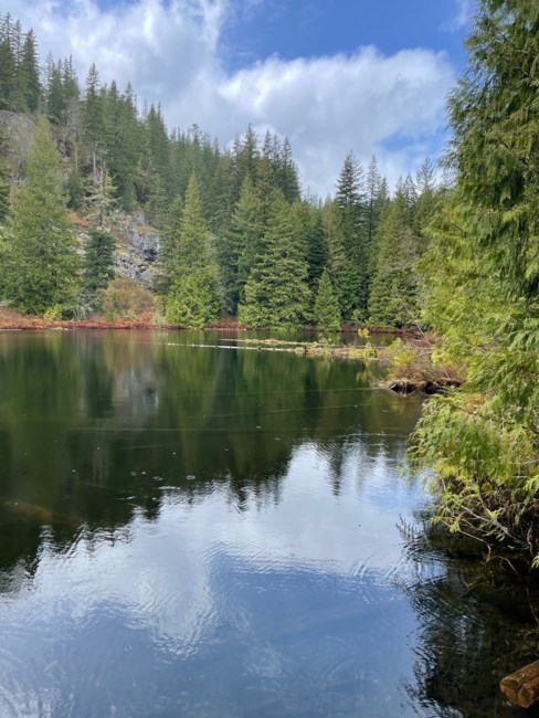 Obituary of Tuan Anh Nguyen