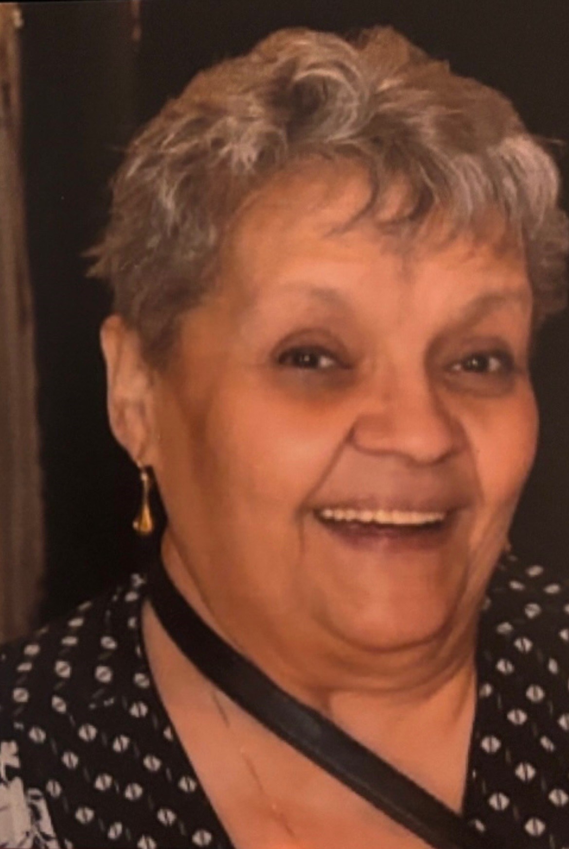 Obituary of Lydia E. Nieves