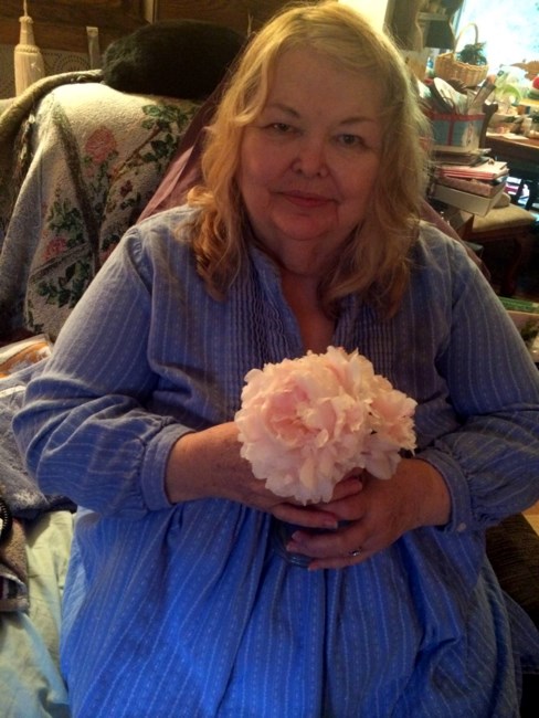 Obituary of Linda Gaynell Starr-Hoovestol