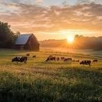 Obituary of William W. Janack Jr.