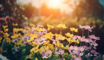 Obituary of Eileen M McCoy