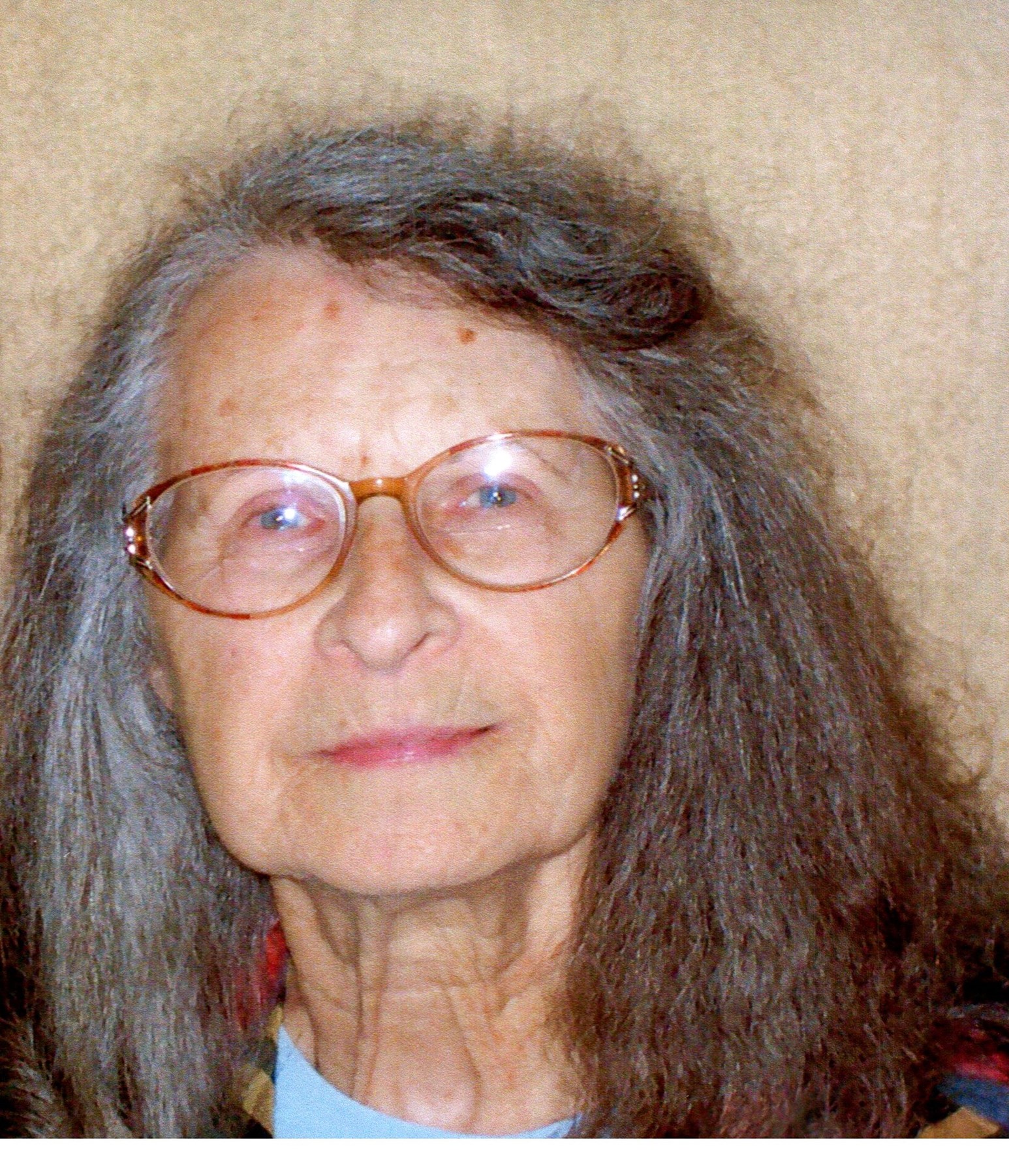 Joyce Schafer Obituary DeWitt, MI