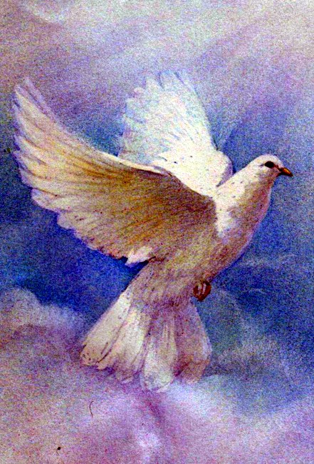 Obituary of Jean H. Norton