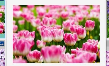 Obituary of Cha Vue Xiong