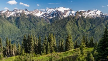 Obituary of Harold Bush