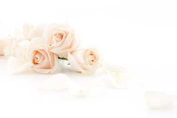 Obituary of Sung Boon Ko