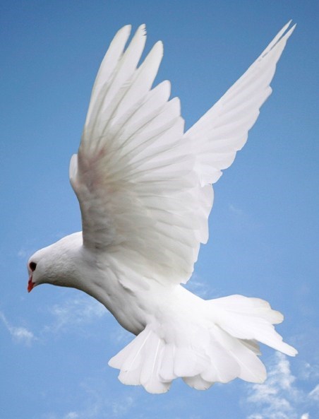 Obituary of Thelma Bell Ryals