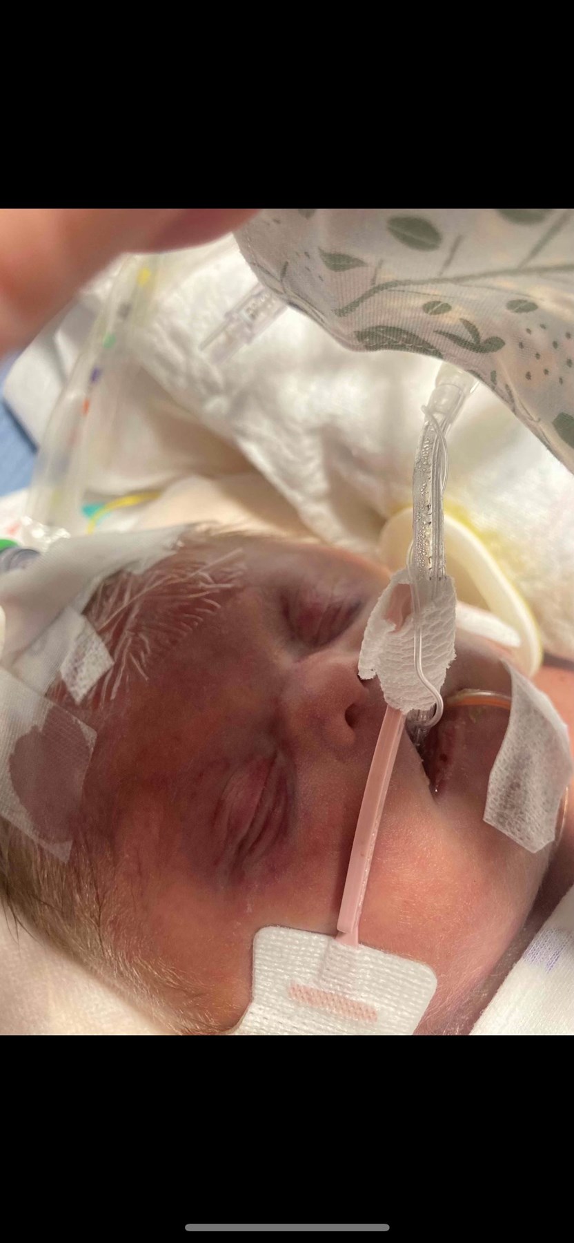 Obituary of Theodore Bowman "Teddy" Paproski