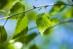 Obituario de Earnest James Horton