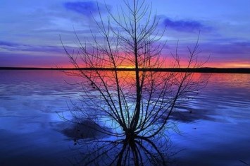 Obituario de Donald E Barton