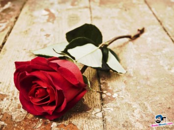 Obituary of Mrs. Scherry Williamson Williamson Broussard