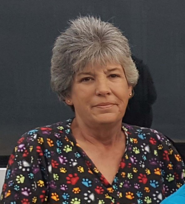 Obituary of Amy Sue (McHorse) Frazier